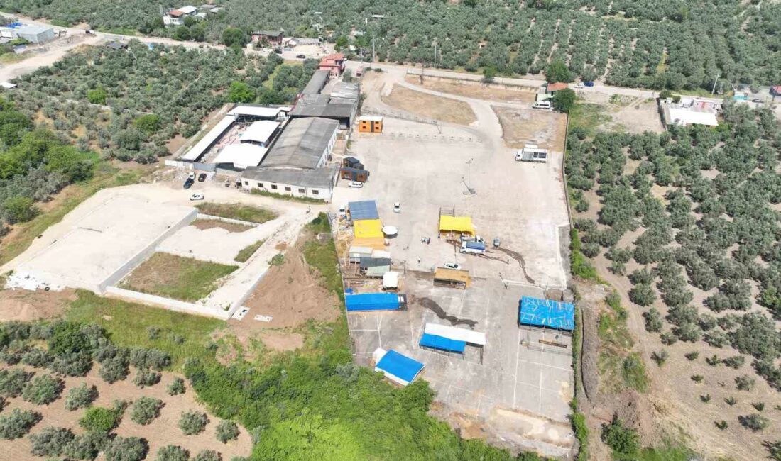 Mudanya Kurban Pazarı yeni yerinde KURBAN BAYRAMI ÖNCESİ VATANDAŞLARIN VE BESİCİLERİN ALIŞVERİŞLERİNİ SORUNSUZ BİR ŞEKİLDE