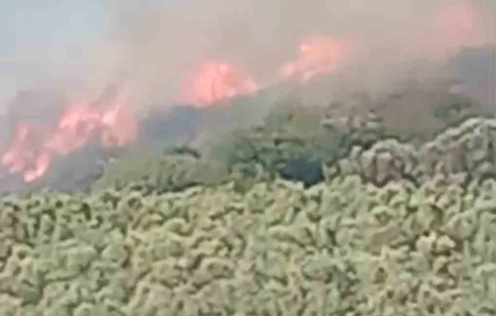 Mudanya’da ve Gemlik’te korkutan yangınlar BURSA’NIN MUDANYA İLÇESİNDE ÇIKAN ANIZ YANGININA ORMAN VE İTFAİYE EKİPLERİN