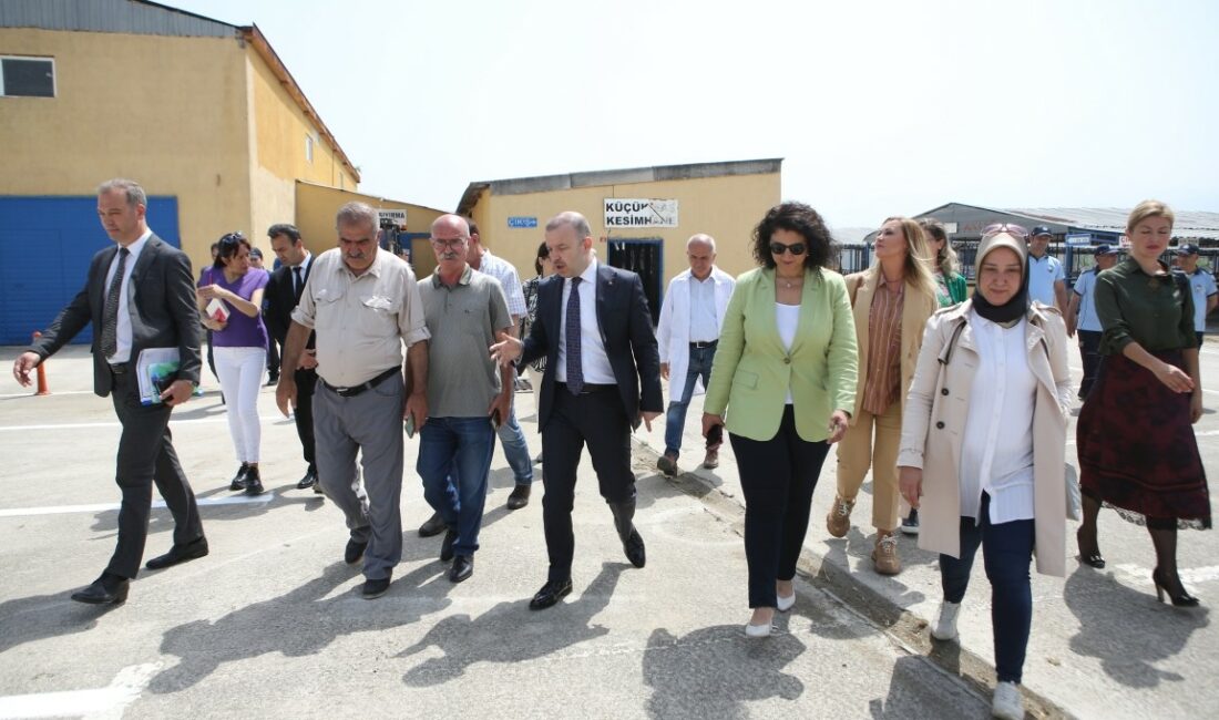 Nilüfer Kurban Bayramı’na hazır NİLÜFER’DE KURBAN BAYRAMI İÇİN HAZIRLIKLARINI TAMAMLANDI. NİLÜFER BELEDİYESİ, VATANDAŞLARIN SAĞLIKLI,