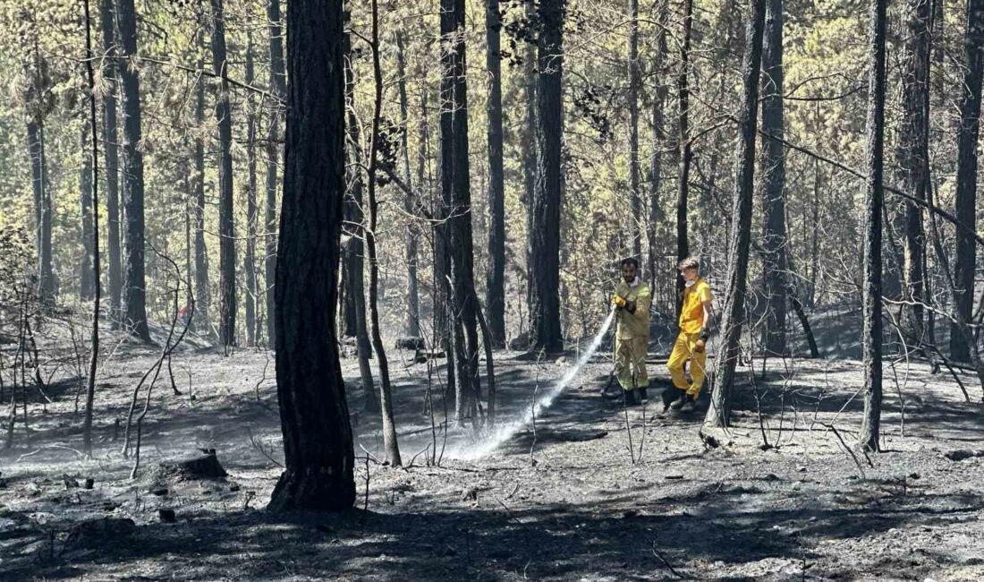 BURSA'NIN DAĞ İLÇELERİNDEN BİRİ OLAN KELES İLÇESİNDE BULUNAN ULUDAĞ'IN GÜNEY