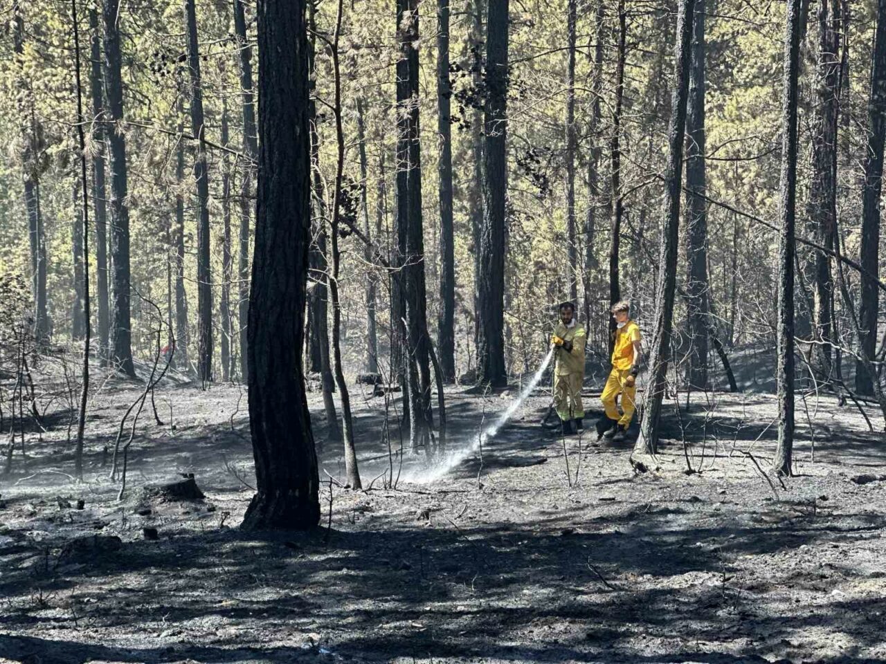 BURSA'NIN DAĞ İLÇELERİNDEN BİRİ OLAN KELES İLÇESİNDE BULUNAN ULUDAĞ'IN GÜNEY