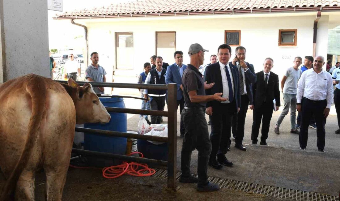 Osmangazi’de bayram hazırlıkları tamam BÜYÜKBAŞ VE KÜÇÜKBAŞ HAYVAN SATIŞI YAPILAN KOTRALARI GEZEREK HEM HAYVAN
