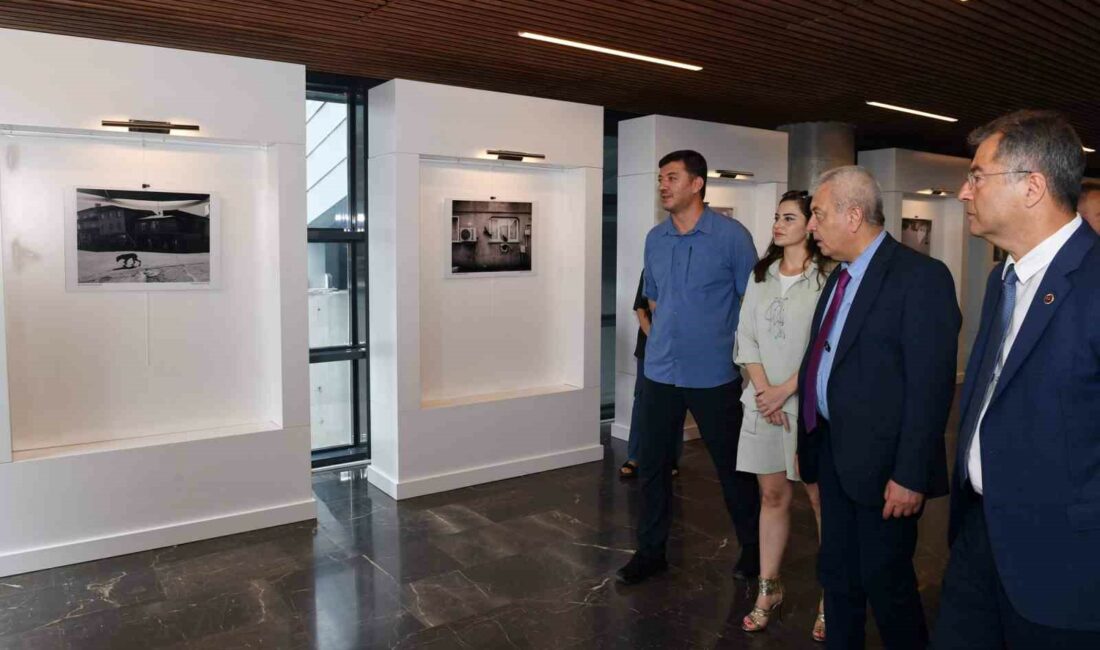 OSMANGAZİ BELEDİYESİ’NDE FOTOĞRAFÇI OLARAK GÖREV YAPAN MUSTAFA MESUT ŞIK, SAHİPSİZ