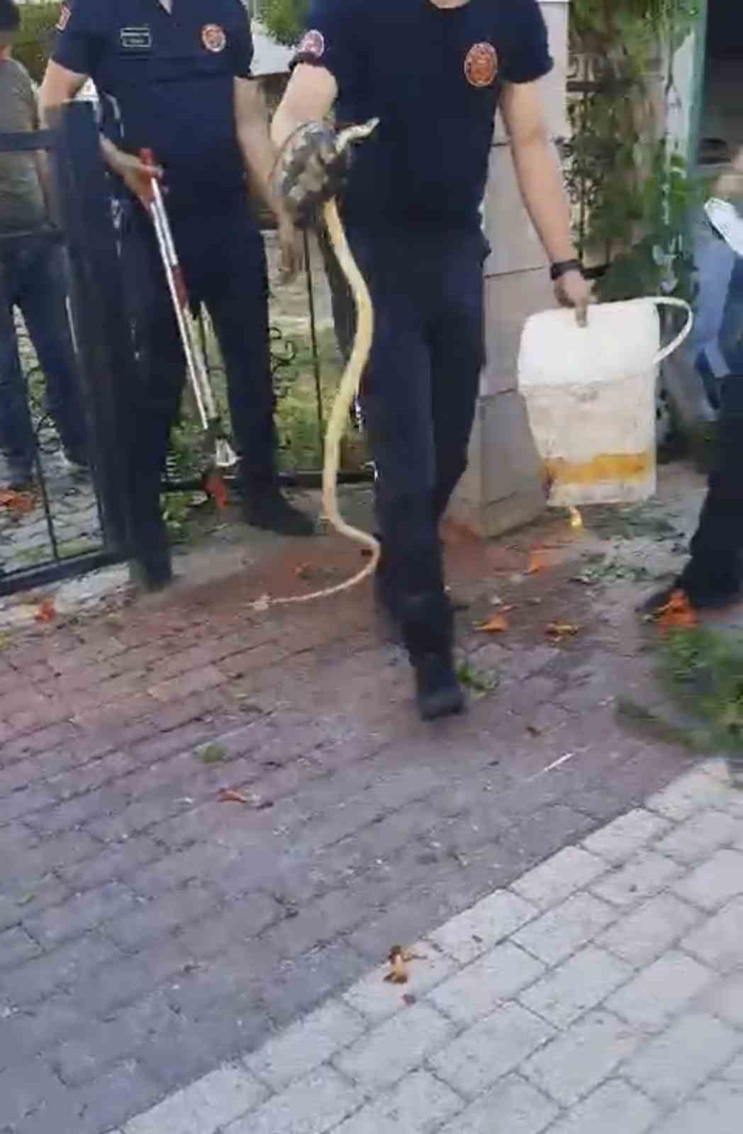 SİTENİN BAHÇE KAPISINA DOLANAN YILAN İTFAİYE EKİPLERİNE TER DÖKTÜRDÜ