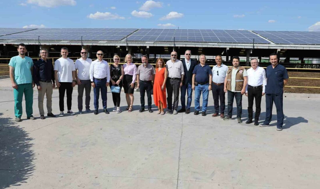 Türkiye’de yılda 21 milyon ton süt üretiliyor ULUSAL SÜT KONSEYİ (USK), 1 HAZİRAN DÜNYA GÜNÜ ÇERÇEVESİNDE İZMİR