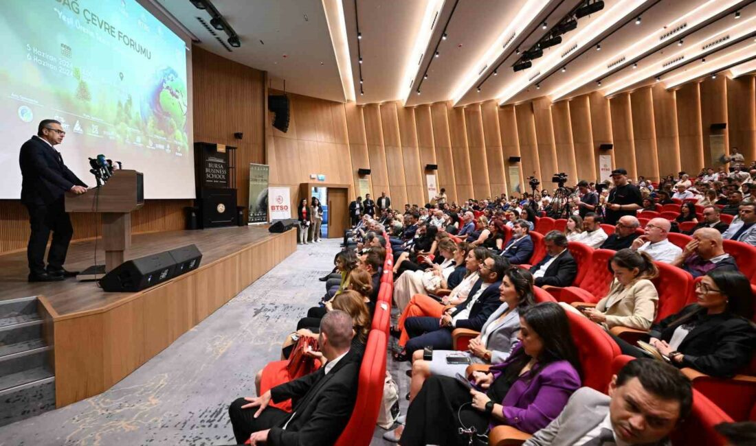 BURSA TİCARET VE SANAYİ ODASI (BTSO), SANAYİDE SÜRDÜRÜLEBİLİRLİK VE YEŞİL