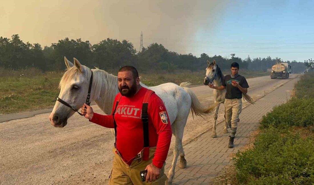 Uludağ Üniversitesi içindeki ormanlarının yarısı alevlere teslim oldu BURSA ŞEHİR MERKEZİNİN AKCİĞERLERİ GÖREVİNİN ÜSTLENEN BURSA ULUDAĞ ÜNİVERSİTESİ KAMPUS