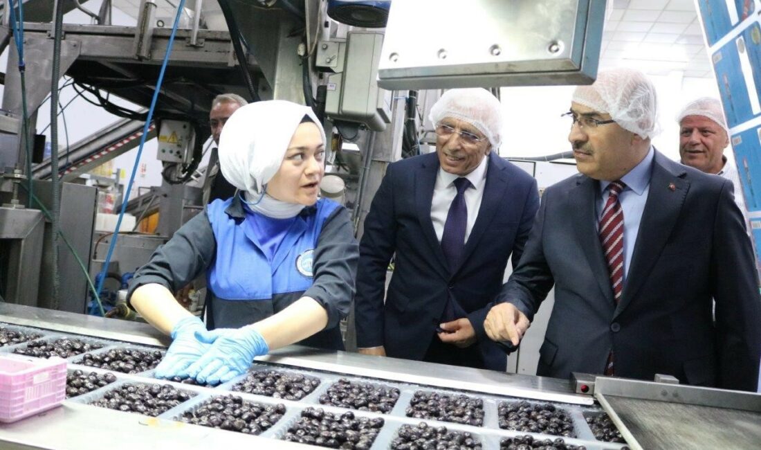 Vali Demirtaş: “Marmarabirlik zeytin üreticisinin can simidi” BURSA VALİSİ MAHMUT DEMİRTAŞ MARMARABİRLİK’İ ZİYARET ETTİ. VALİ DEMİRTAŞ’A