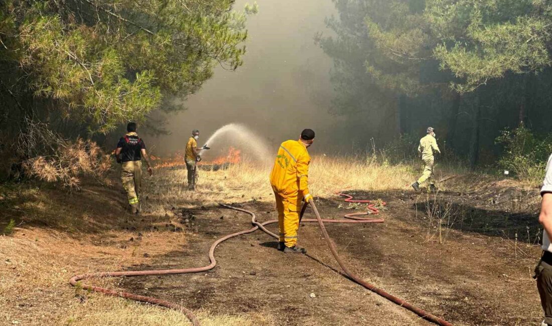 Yangına müdahale eden ekipler alevlerin içinde kaldı BURSA'NIN NİLÜFER İLÇESİNE BAĞLI YOLÇATI MAHALLESİ'NDE MAKİLİK ALANDA YANGIN ÇIKTI.