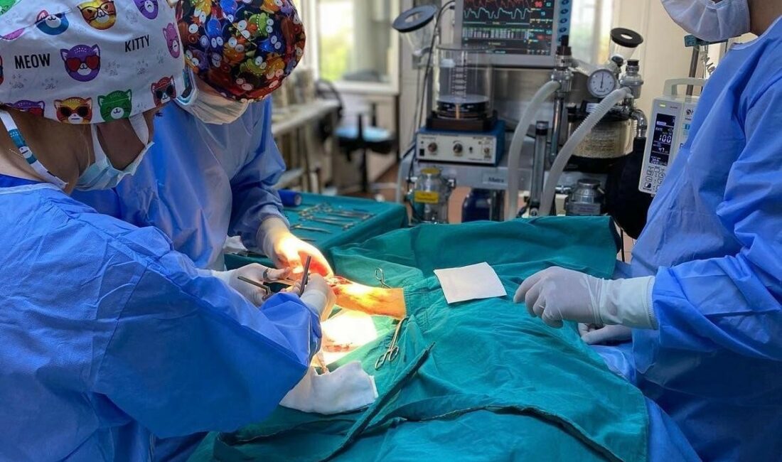 OSMANGAZİ BELEDİYESİ, 2024 YILININ İLK YARISINDA 2 BİN 170 SOKAK