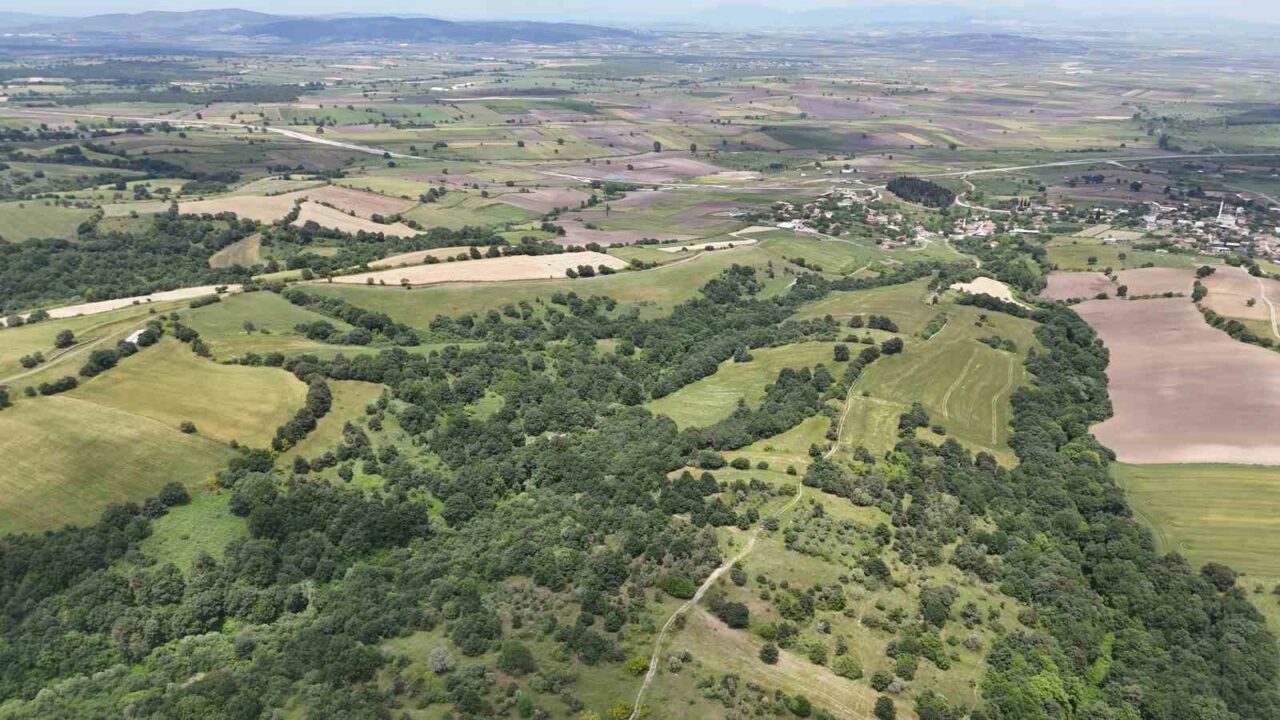 ARAZİDE ÇOK KAZANMAKTAN DAHA ÖNEMLİSİNİN HEP KAZANMAK OLDUĞUNU BELİRTEN EKSPERT