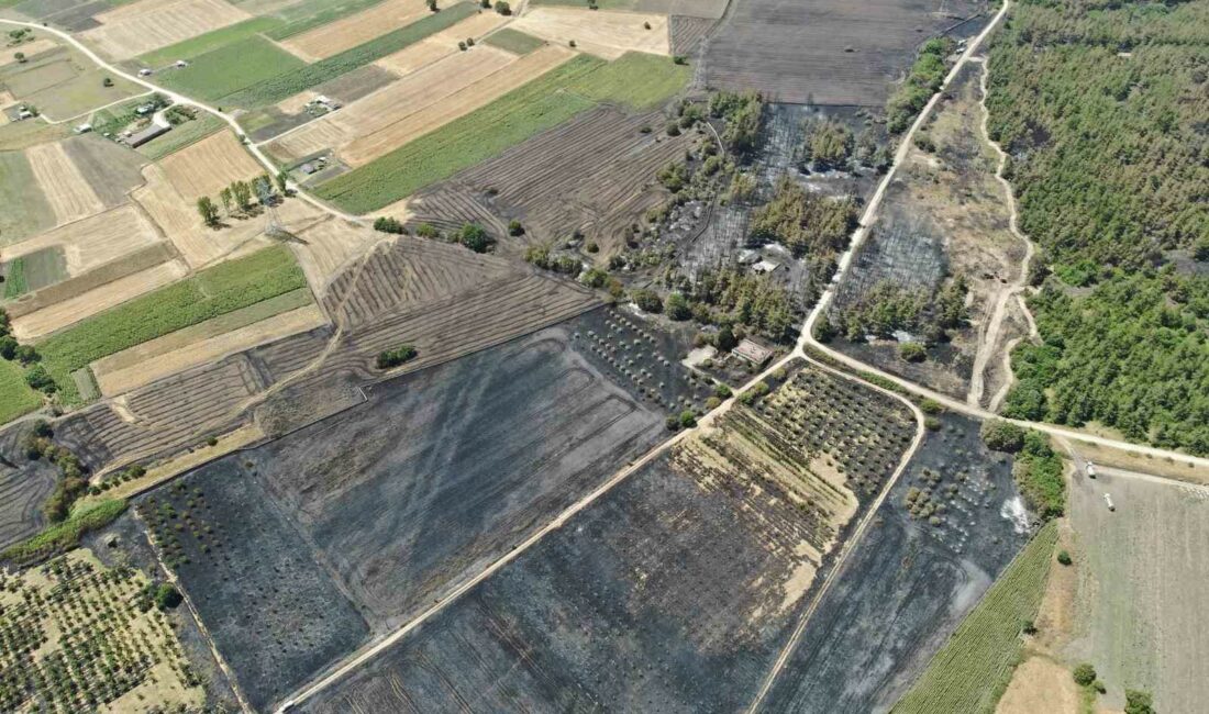 Başkan Bozbey’den ağaçlandırma çağrısı BURSA BÜYÜKŞEHİR BELEDİYE BAŞKANI MUSTAFA BOZBEY, ULUDAĞ ÜNİVERSİTESİ KAMPÜSÜNDEKİ YANGIN