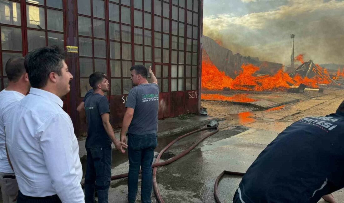 Başkan Özel: “Kereste fabrikasındaki yangını kontrol altına alma çalışmaları sürüyor” BURSA’NIN YENİŞEHİR İLÇESİNDE BİR KERESTE FABRİKASINDA YANGIN ÇIKTI. EKİPLERİN MÜDAHALEDE