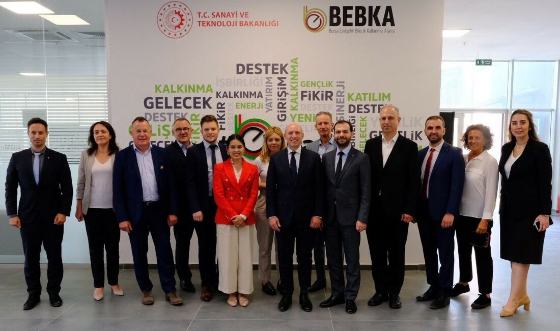 ALMANYA FEDERAL CUMHURİYETİ HESSEN EYALETİ AVRUPA VE FEDERAL İŞLERDEN SORUMLU