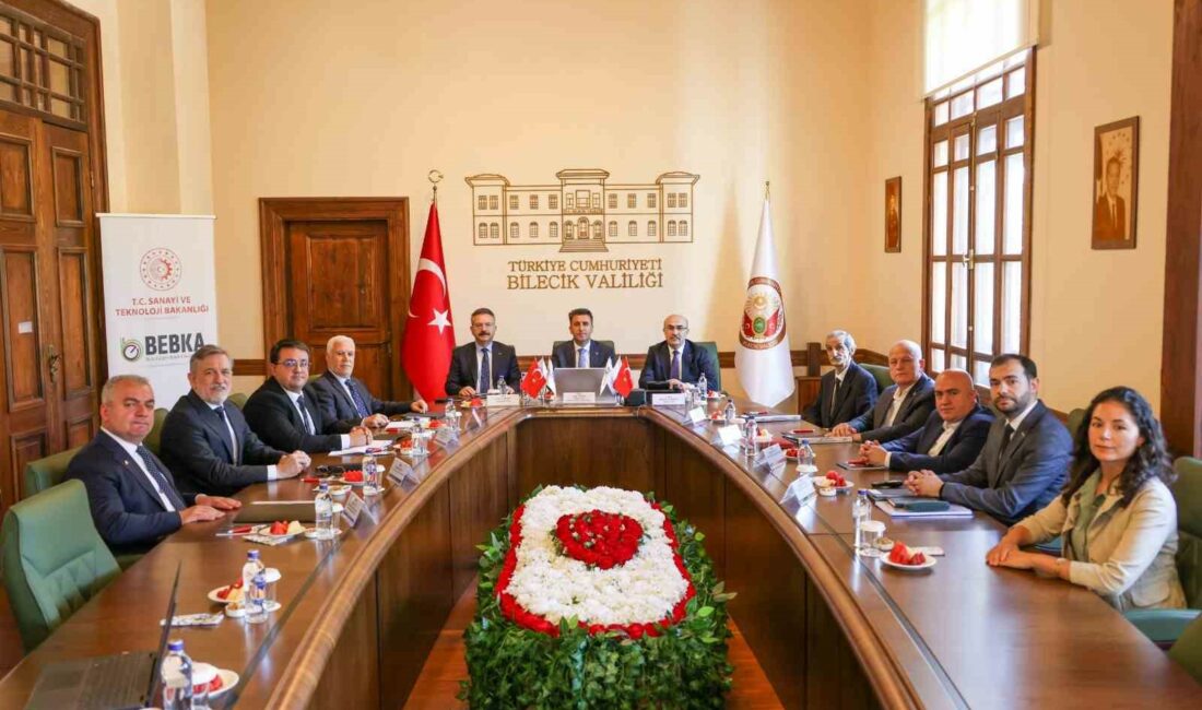 BURSA ESKİŞEHİR BİLECİK KALKINMA AJANSI (BEBKA) YÖNETİM KURULU, BİLECİK VALİSİ