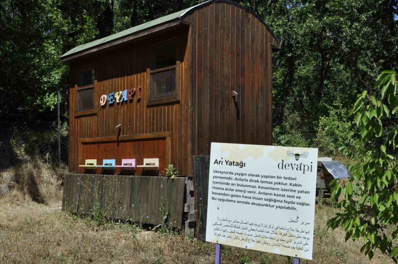 BURSA’DA BİR TIBBİ AROMATİK BAHÇEDE YER ALAN TERAPİ YÖNTEMİ YERLİ