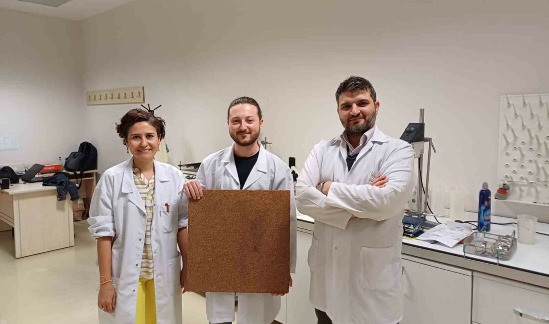 BTÜ Orman Fakültesi’nden TÜBİTAK başarısı BURSA TEKNİK ÜNİVERSİTESİ (BTÜ) ORMAN FAKÜLTESİ, 5 PROJESİNE TÜBİTAK DESTEĞİ