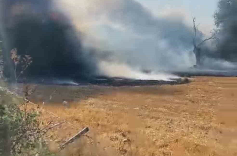 BURSA'DA BİR MARKETİN DEPOSUNDA ÇIKAN YANGINA İTFAİYE EKİPLERİ MÜDAHALE EDİYOR.