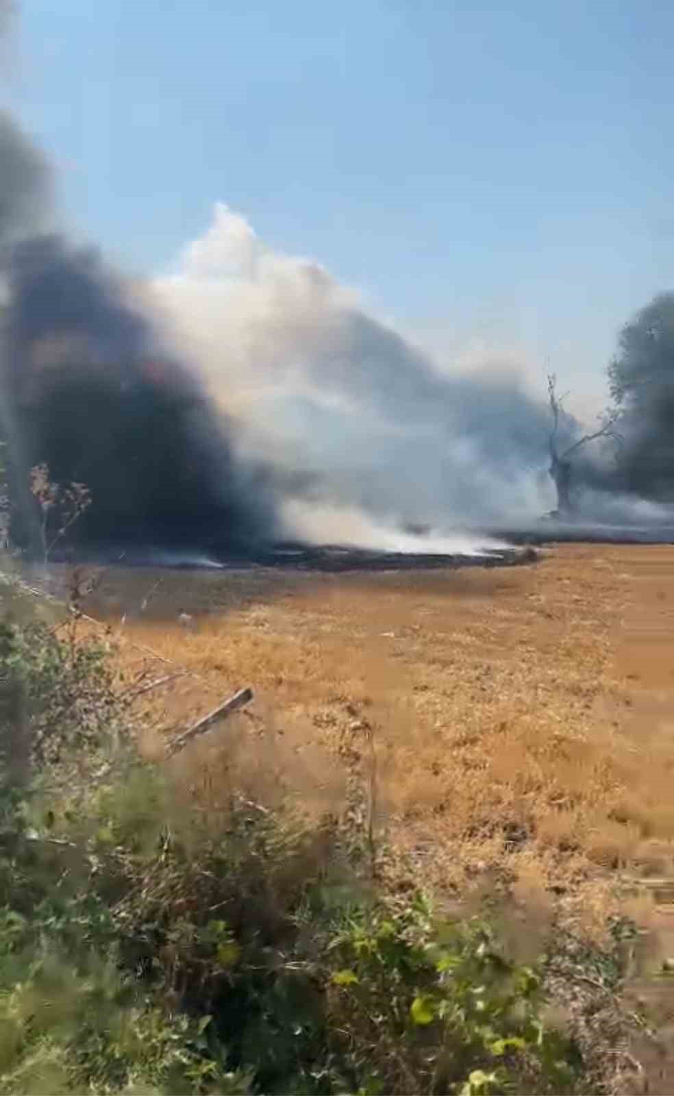 BURSA'DA BİR MARKETİN DEPOSUNDA ÇIKAN YANGINA İTFAİYE EKİPLERİ MÜDAHALE EDİYOR.