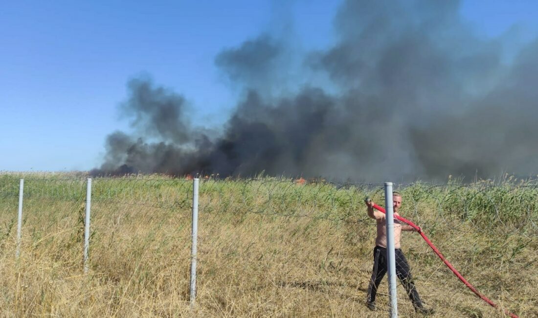 BURSA'NIN ORHANGAZİ İLÇESİNDE SAZLIK ALANDA BAŞLAYAN YANGINA EKİPLERİN MÜDAHALESİ SÜRÜYOR.