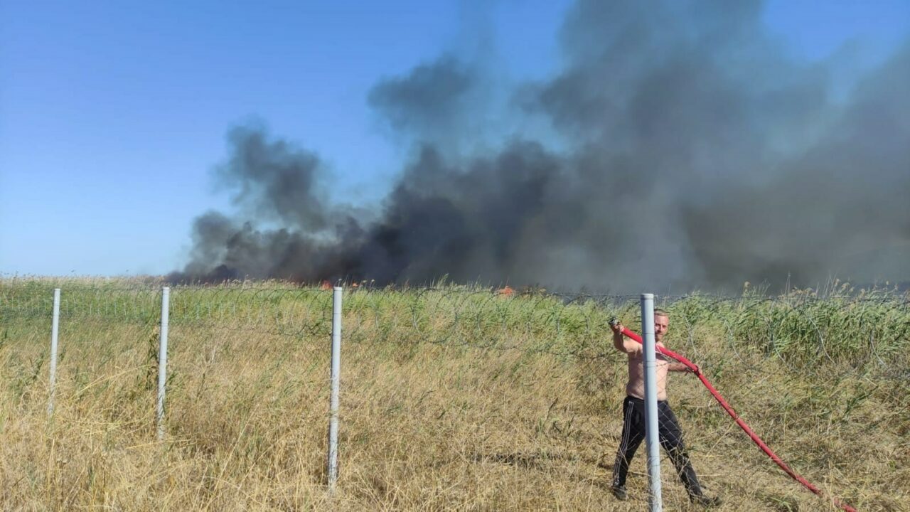 BURSA'NIN ORHANGAZİ İLÇESİNDE SAZLIK ALANDA BAŞLAYAN YANGINA EKİPLERİN MÜDAHALESİ SÜRÜYOR.