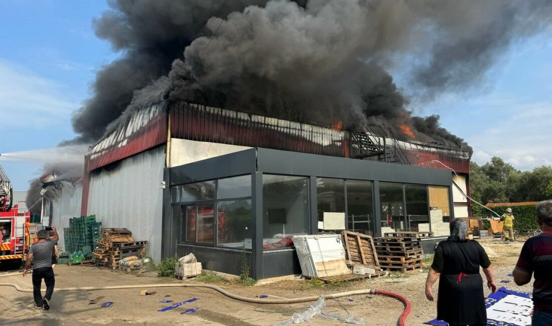 Bursa’da soğuk hava deposu alev alev yandı BURSA'NIN İZNİK İLÇESİNDE SOĞUK HAVA DEPOSU ALEV ALEV YANDI. İTFAİYE