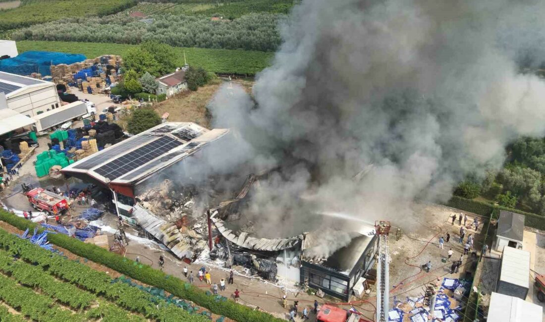 Bursa’da soğuk hava deposunda çıkan yangın kontrol altına alındı BURSA'NIN İZNİK İLÇESİNDE SOĞUK HAVA DEPOSUNDA ÇIKAN YANGIN, İTFAİYE EKİPLERİNİN