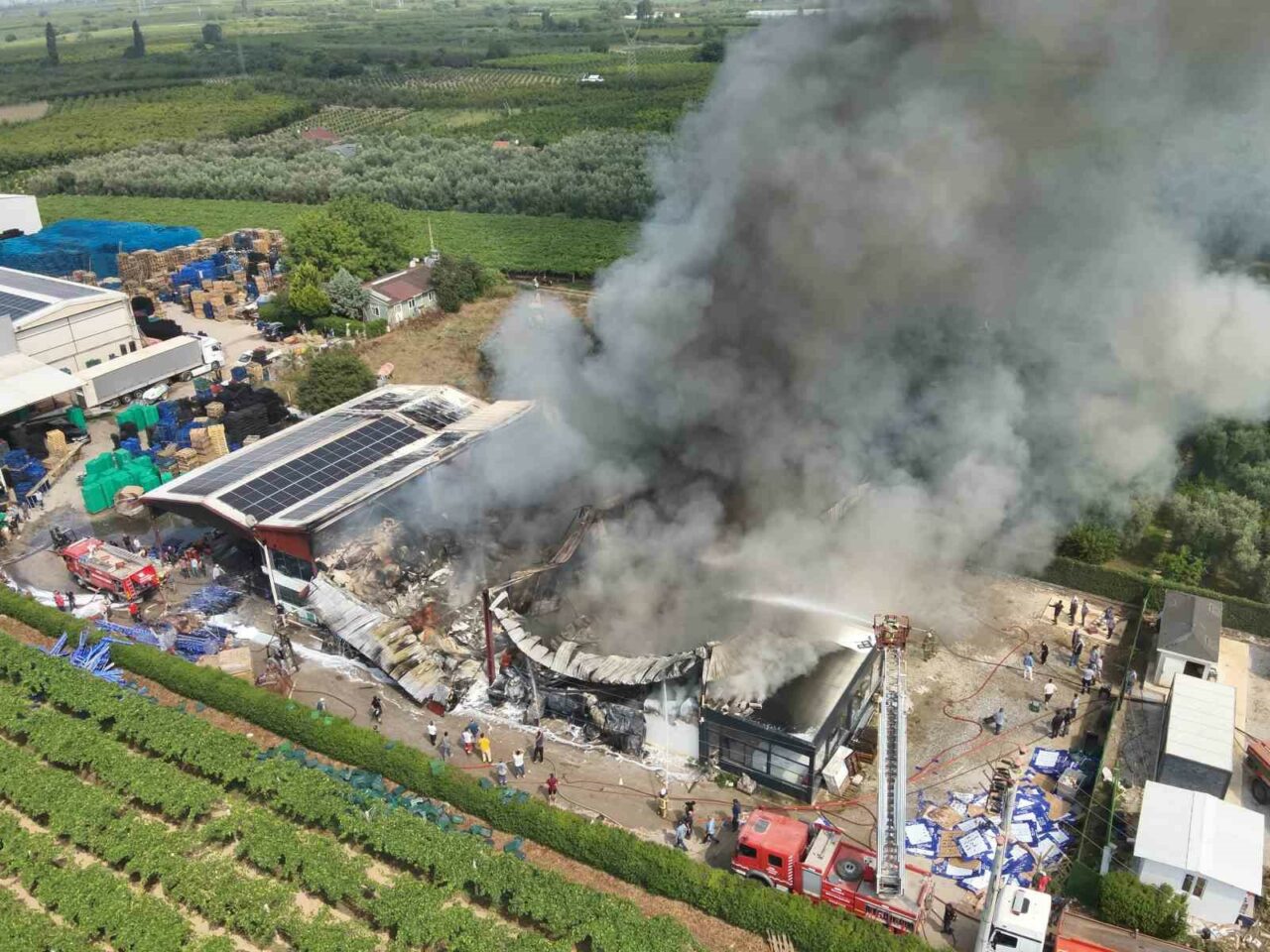 BURSA'NIN İZNİK İLÇESİNDE SOĞUK HAVA DEPOSUNDA ÇIKAN YANGIN, İTFAİYE EKİPLERİNİN