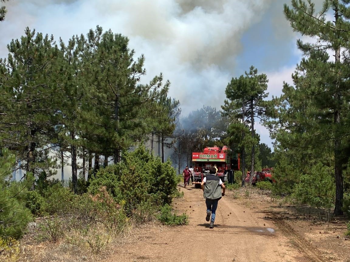 BURSA'NIN ORHANELİ İLÇESİNDE ORMANLIK ALANDA ÇIKAN YANGIN, İTFAİYE VE ORMAN