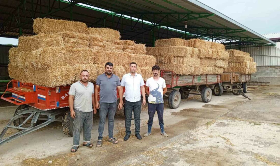 Büyükşehir, örnek dayanışmaya köprü oldu BURSA’NIN BÜYÜKORHAN İLÇESİNDE GEÇTİĞİMİZ HAFTALARDA YAŞANAN YANGINDA HAYVANLARI VE ÜRÜNLERİ