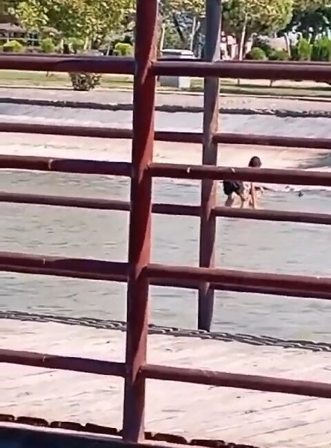 BURSA'NIN KARACABEY İLÇESİNDE YASAK OLAN SÜS HAVUZUNA GİREN ÇOCUKLAR, VATANDAŞLARIN