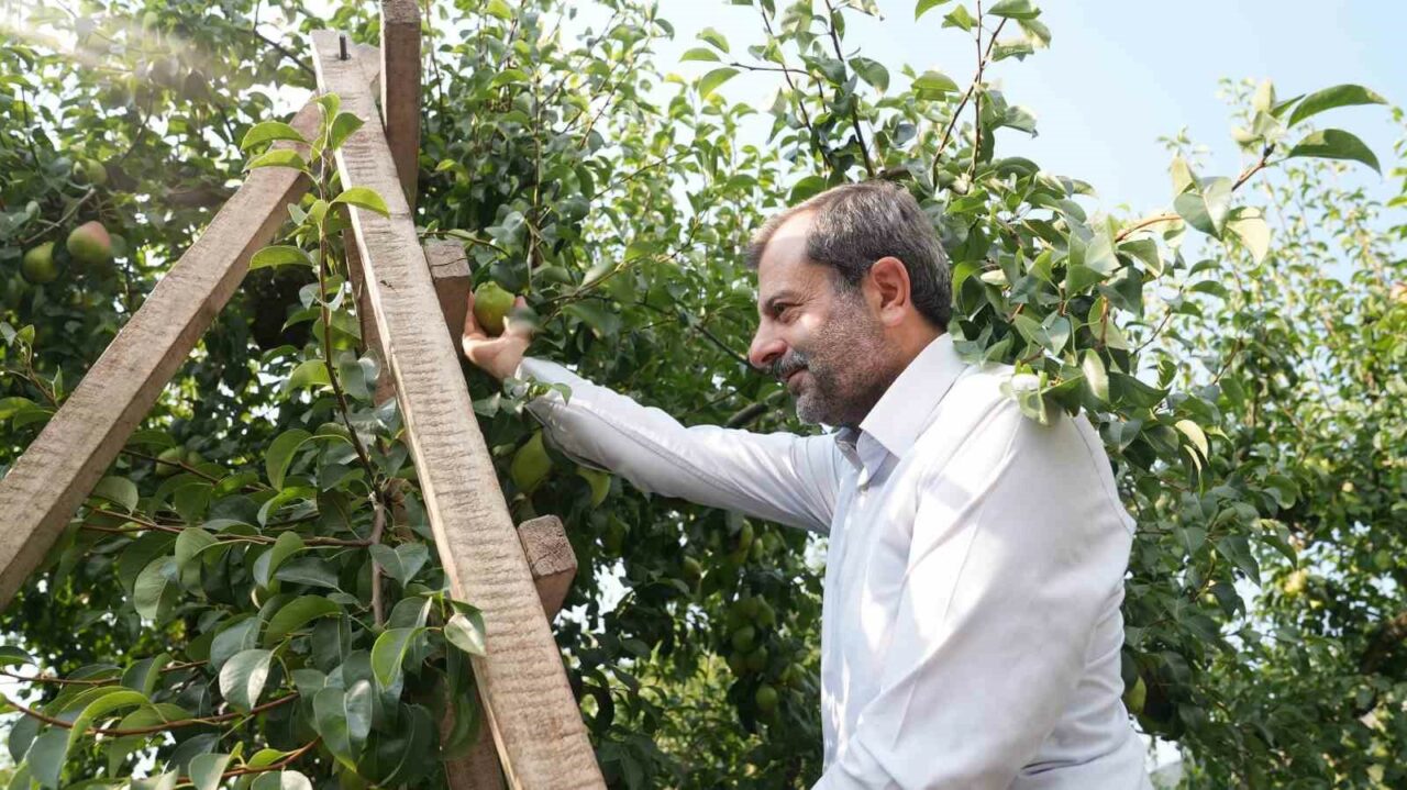 GÜRSU’YA BAĞLI İĞDİR KÖYÜ’NDE ARMUT BAHÇELERİNDE TARIM İLACI KULLANIMININ AZALTILMASI
