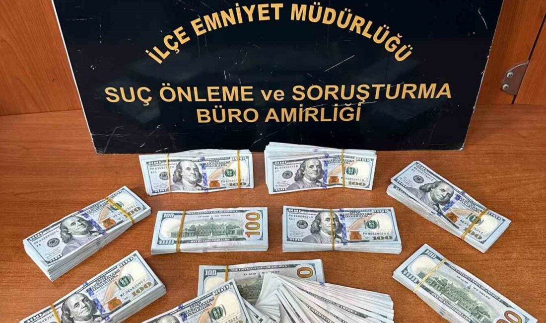 Kanada vatandaşını 100 bin dolar dolandırdı, kaçmaya çalışırken yakalandı İZMİR'DE GAYRİMENKUL SATIŞI BAHANESİYLE KANADA VATANDAŞINI 100 BİN DOLAR DOLANDIRAN