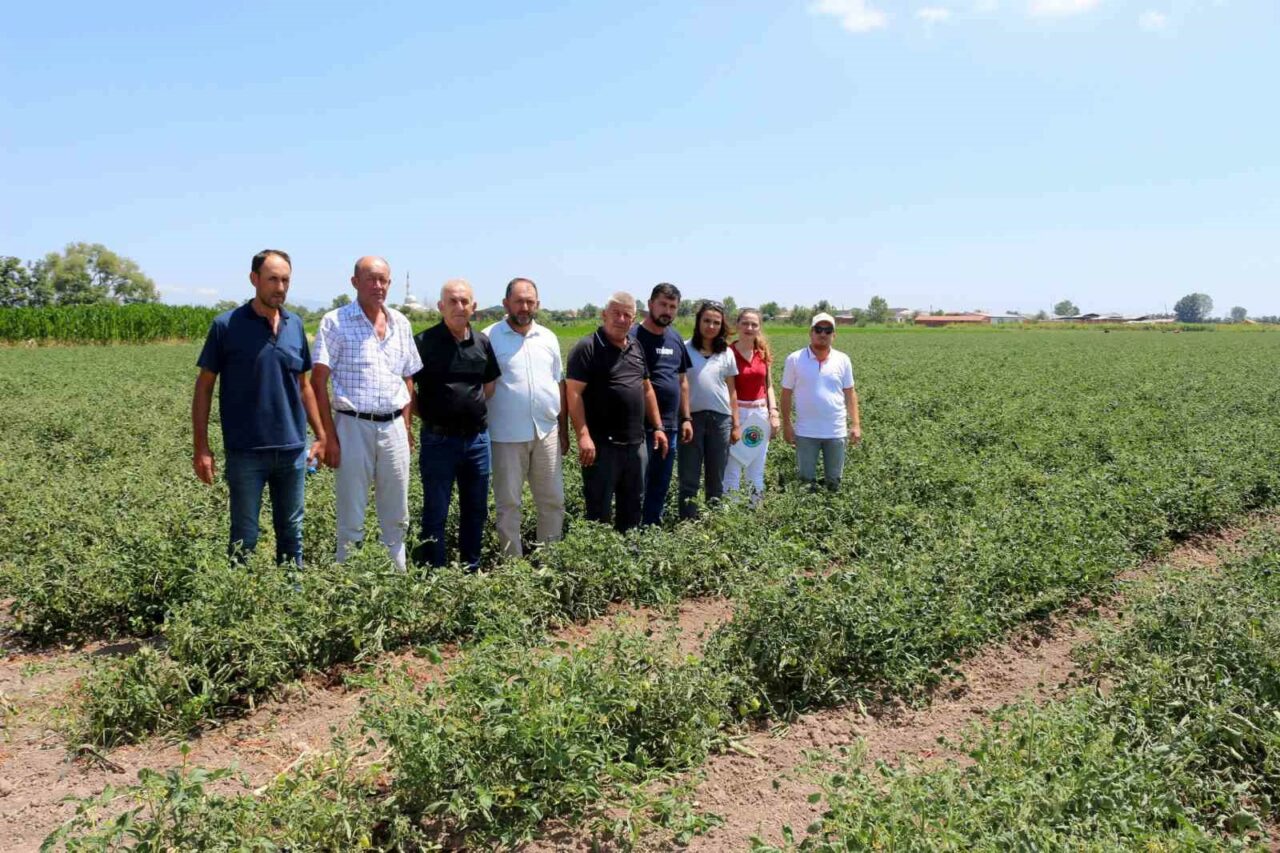 KARACABEY ZİRAAT ODASI, KARACABEY OVASI’NDA ÇOK SAYIDA ÇİFTÇİNİN MAĞDURİYET YAŞAYACAĞI