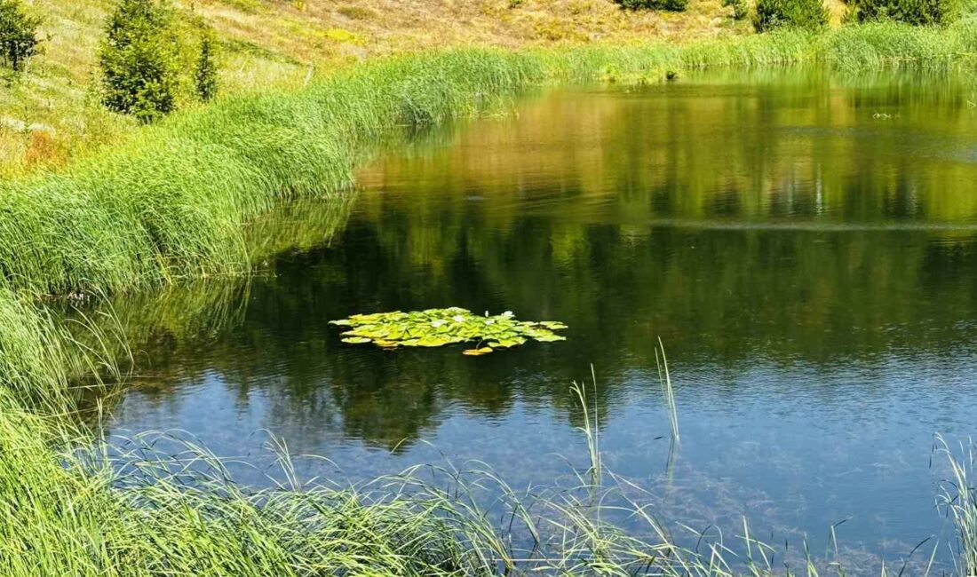 GEÇTİĞİMİZ YILLARDA YAPILAN ÇALIŞMALAR SONUCU İÇERİSİNDE BULUNAN SUYU KAYBEDEN GEMLİK’İN