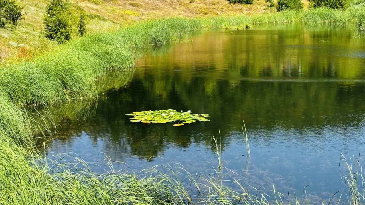 GEÇTİĞİMİZ YILLARDA YAPILAN ÇALIŞMALAR SONUCU İÇERİSİNDE BULUNAN SUYU KAYBEDEN GEMLİK’İN