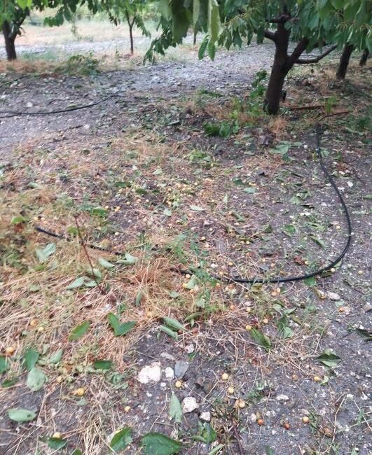 Keles’te dolu etkili oldu BURSA'NIN DAĞ İLÇESİ KELES'TE ANİDEN BASTIRAN SAĞANAK YAĞIŞ YERİNİ DOLUYA