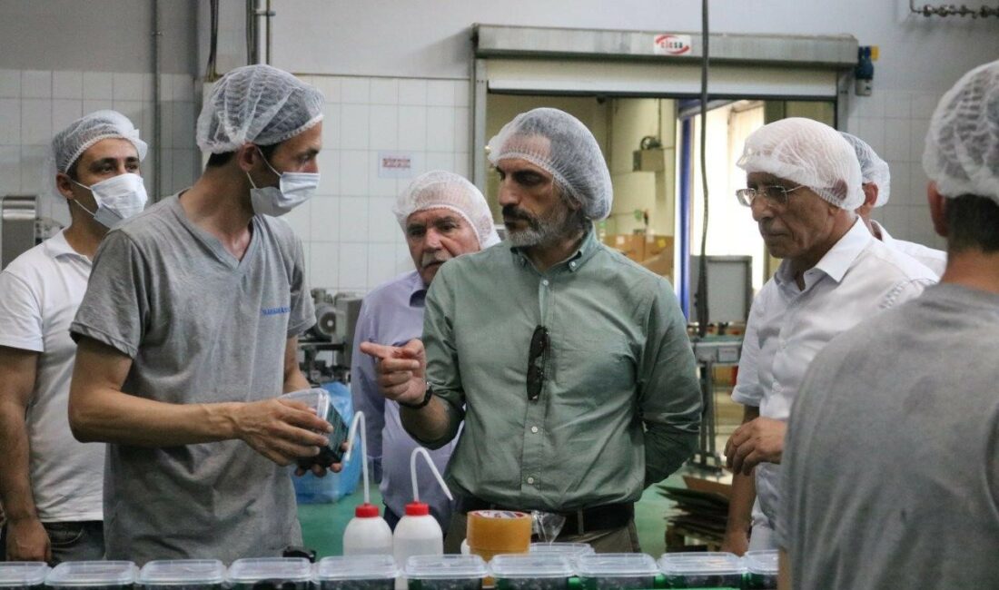 ESNAF, SANATKARLAR VE KOOPERATİFÇİLİK GENEL MÜDÜRÜ SAYIN TAHA ENES ŞENER