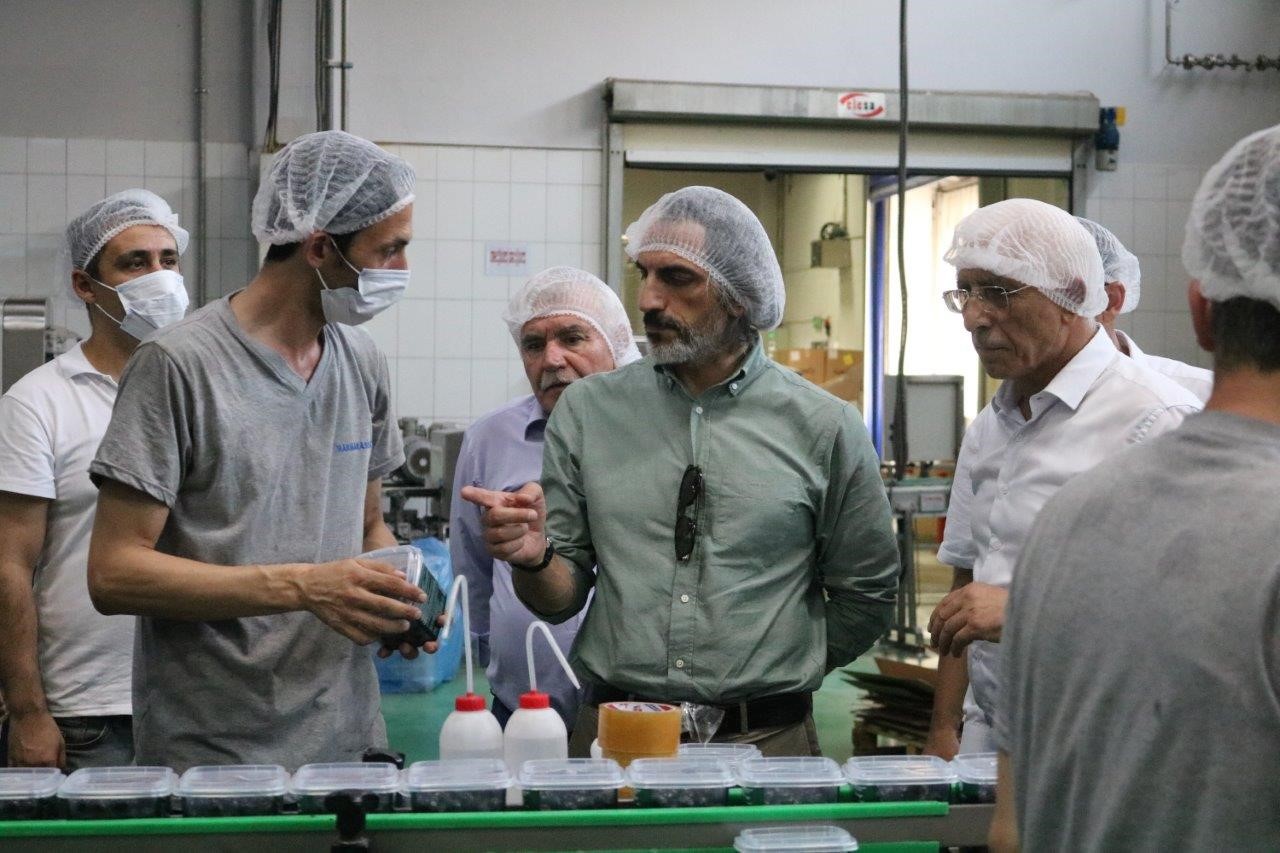 ESNAF, SANATKARLAR VE KOOPERATİFÇİLİK GENEL MÜDÜRÜ SAYIN TAHA ENES ŞENER