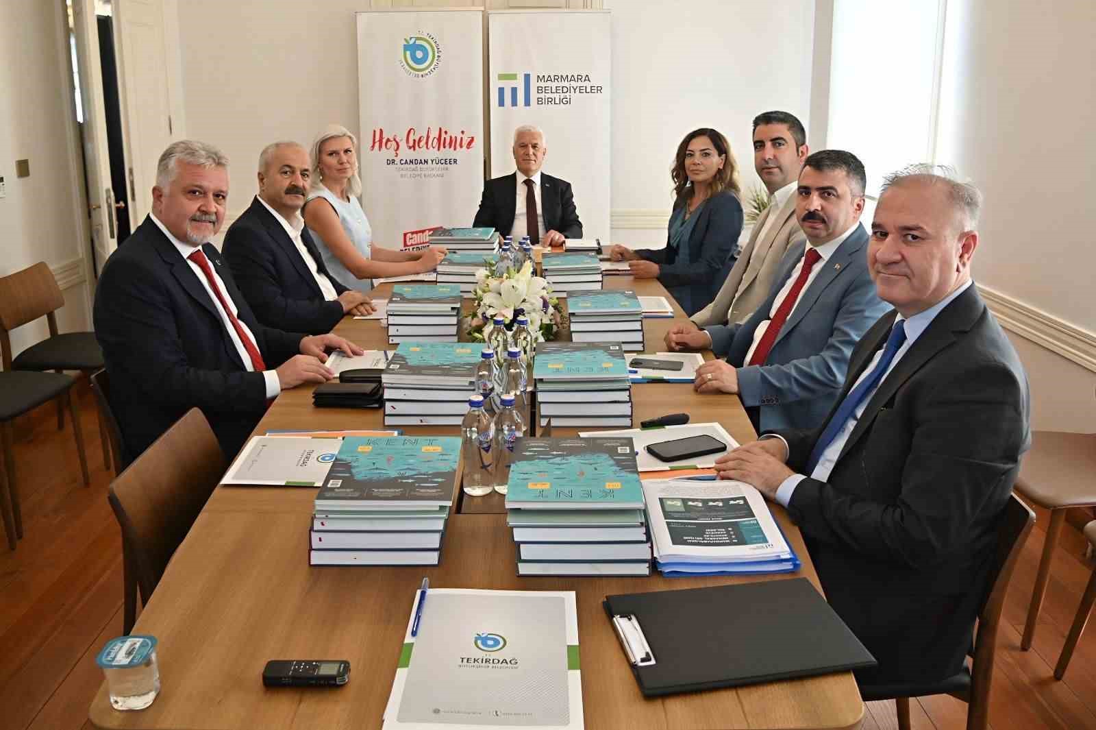 MARMARA BELEDİYELER BİRLİĞİ (MBB), SOKAK HAYVANLARINA İLİŞKİN BULGU VE ÇÖZÜM