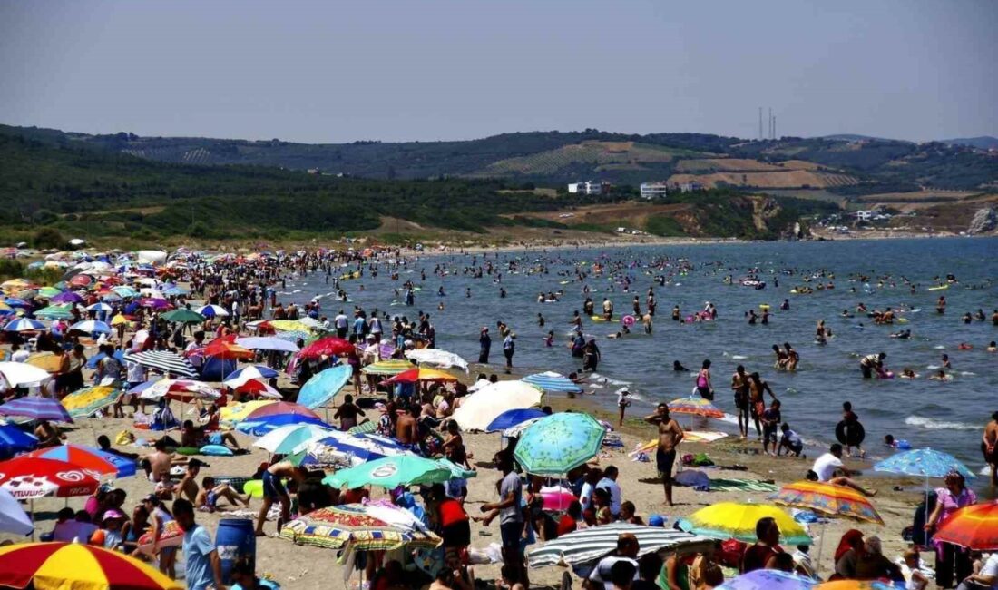 BURSANIN SAHİLLERİNDEN SEVİNDİRİCİ HABER GELDİ