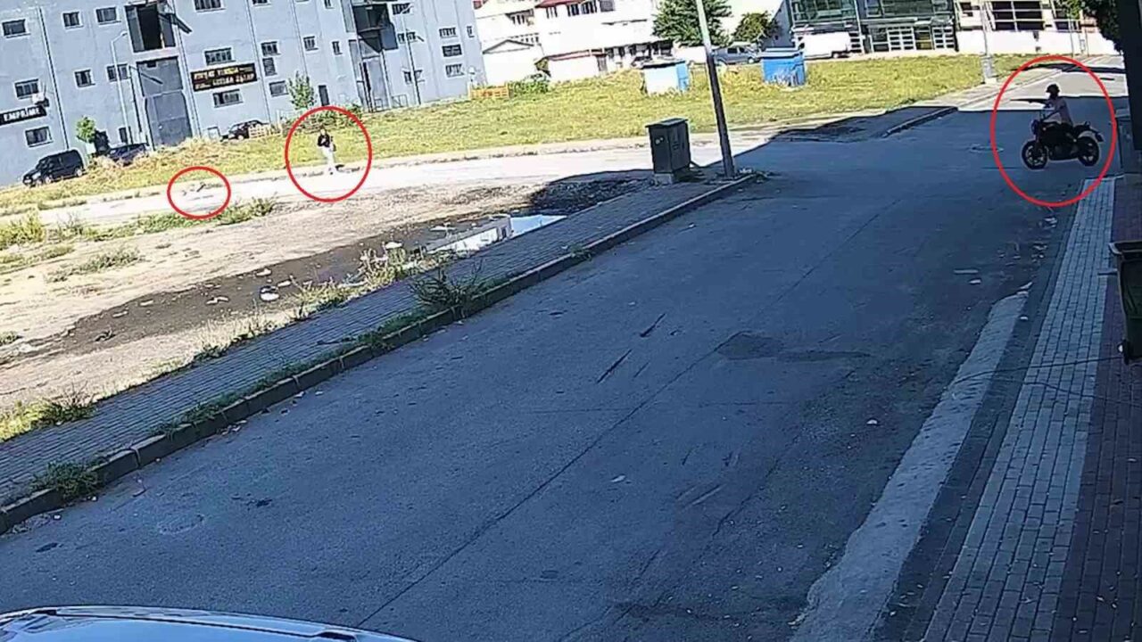 BURSA'DA BAŞIBOŞ GEZEN SOKAK KÖPEĞİ TARAFINDAN BİR SÜRE TAKİP EDİLDİKTEN