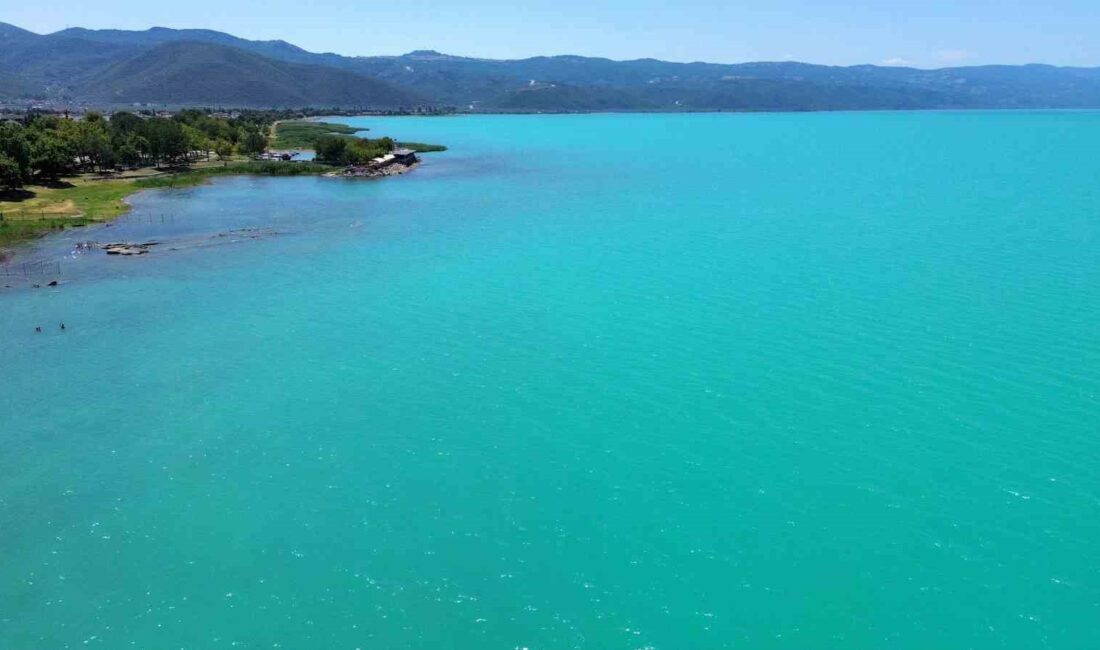 BURSA’DA HAVA SICAKLARININ ARTMASI SEBEBİYLE MEYDANA GELEN PLANKTON PATLAMASI SONRASI