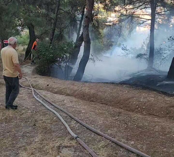 Piknik alanında çıkan yangın ormana sıçramadan söndürüldü PİKNİK ALANINDA ÇIKAN YANGIN ORMANA SIÇRAMADAN SÖNDÜRÜLDÜ