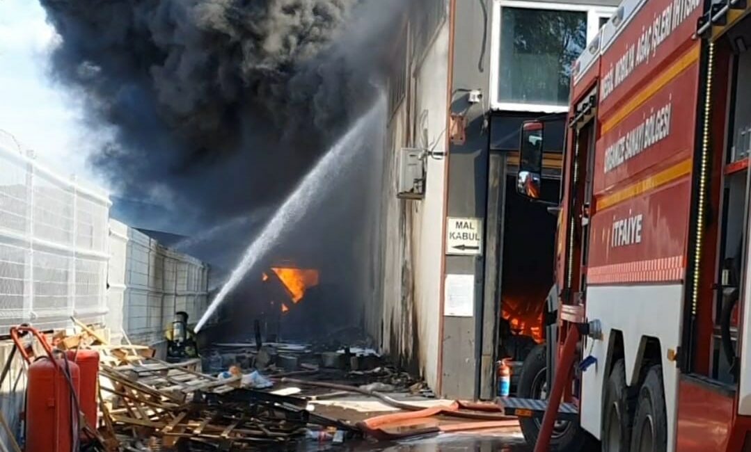 Bursa’da sandalye fabrikasında yangın BURSA'NIN İNEGÖL İLÇESİNDE FAALİYET GÖSTEREN SANDAYLE FABRİKASINDA YANGIN ÇIKTI. EKİPLERİN