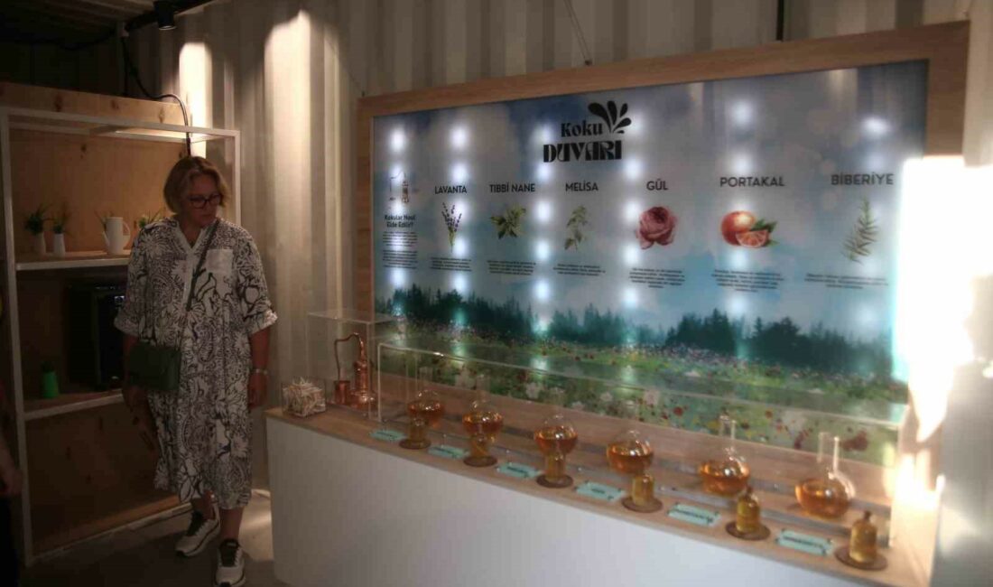 Tarım ve ekoloji bilimini birleştiren Yeşil Kapsül projesi hayata geçirildi BURSA BÜYÜKŞEHİR BELEDİYESİ İŞTİRAKİ TARIM PEYZAJ A.Ş. TARAFINDAN YAPILAN “YEŞİL