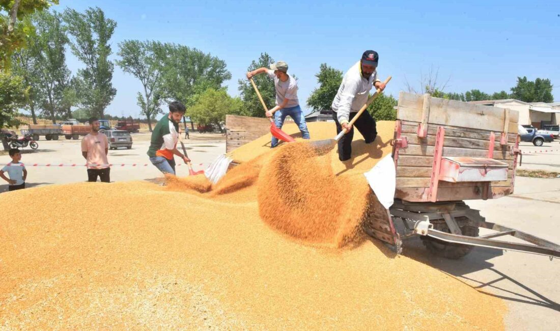 YENİŞEHİR BELEDİYESİ’NİN BİBER PAZARI’NDA KURMUŞ OLDUĞU SİSTEM SAYESİNDE HIZLI BİR