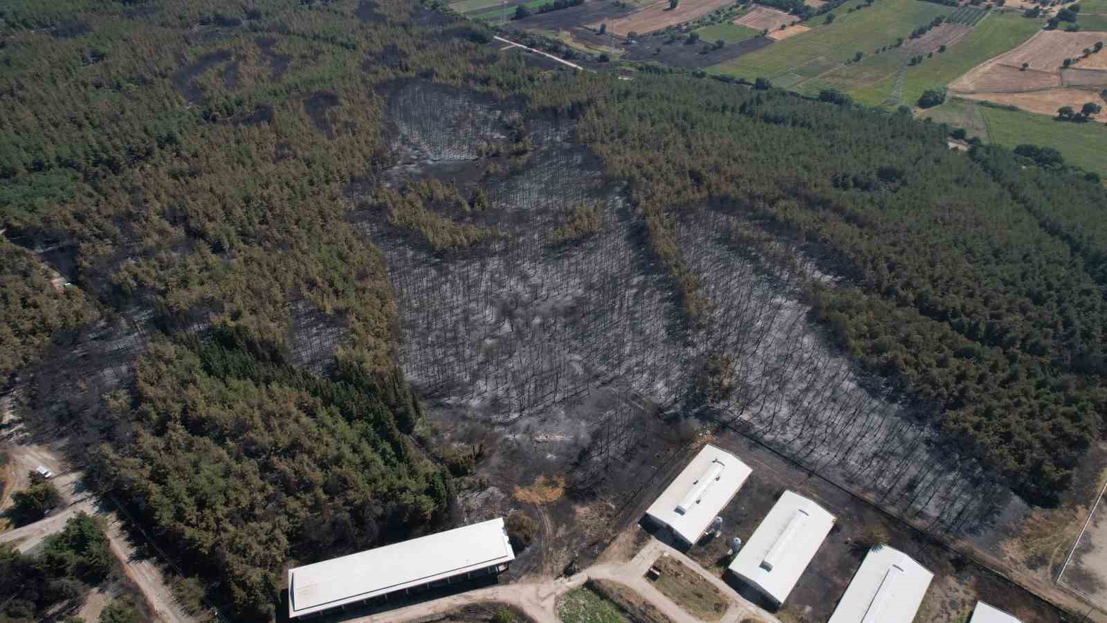 BURSA’DA ANIZ YANGINI OLARAK BAŞLAYAN VE SONRASINDA ULUDAĞ ÜNİVERSİTESİ KAMPÜSÜNDEKİ
