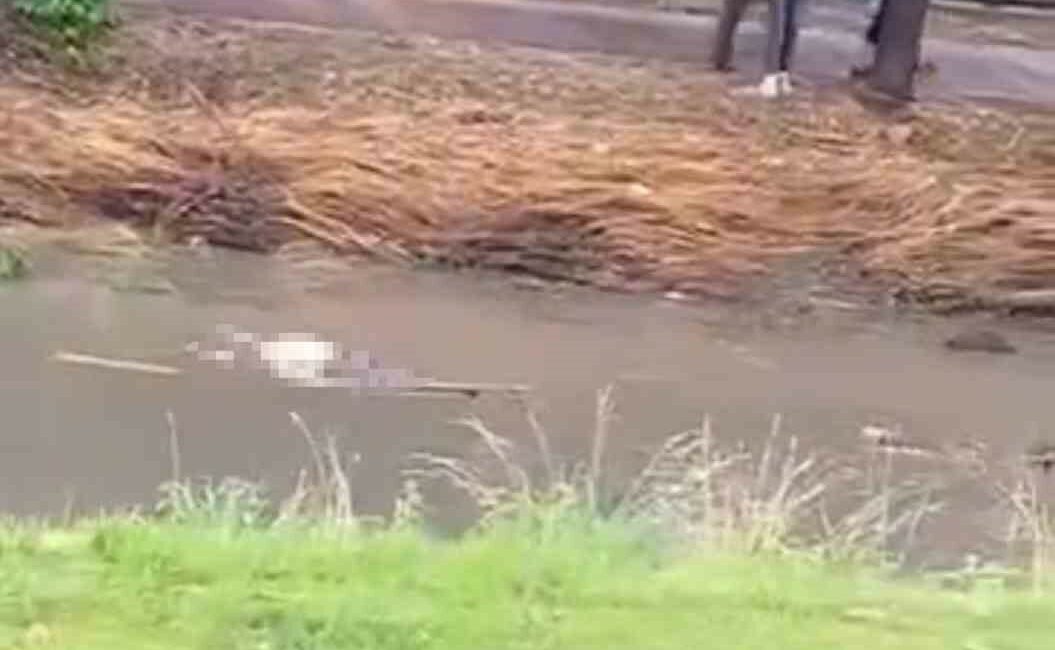 Bursa’da yağmur sularının yükselttiği derede erkek cesedi bulundu BURSA’DA YAĞMUR SULARININ YÜKSELTTİĞİ DEREDE KİMLİĞİ BELİRSİZ CESET BULUNDU.