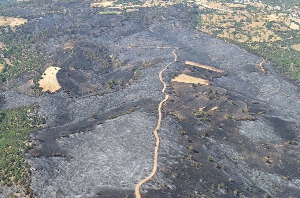 BURSA'NIN BÜYÜKORHAN İLÇESİNDE ORMANLIK ALANDA ÇIKAN YANGINDA ZARAR GÖREN ALANLARIN